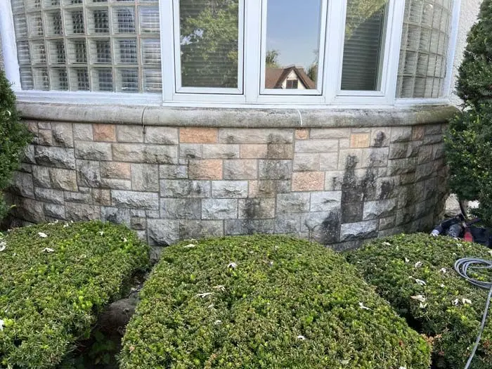 Concrete patching and masonry repair detail